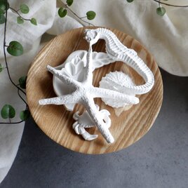 【セット販売】アロマストーン ■ 海の生き物 タツノオトシゴ ■ 木目プレートの画像