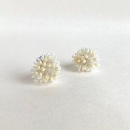 綿雪7の画像