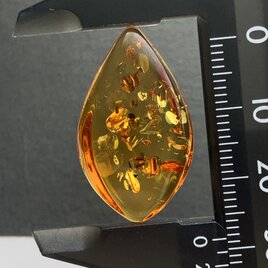 バルティックアンバー[216] 29x17mm 9Ctsの画像