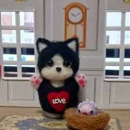 小さなハチ猫ちゃんとお魚　可愛いお魚さんの画像