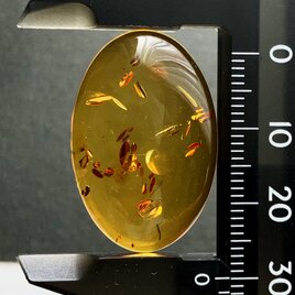 バルティックアンバー[226] 30x20mm 12Cts　天然石 ／ ルース ／カボションの画像