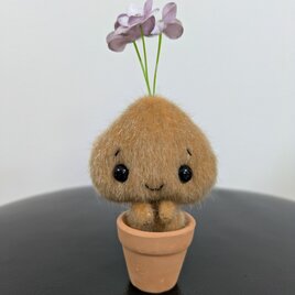 ミニチュアドール☆ぬいぐるみ☆ちょこんと植木鉢☆フラワーさん☆パープルの画像