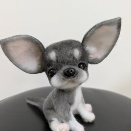 ふわふわぬいぐるみ☆チワワ☆ブラック☆の画像