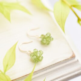 【14kgf ピアス】新芽 若葉 若草 イエローグリーン ペリドットの実 金平糖 8月誕生石／誕生日プレゼントにもの画像
