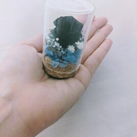 プリザーブドフラワー／黒薔薇の魔法発動中シリーズ／黒ミニ薔薇と小花のミニガラスボトルギフトの画像