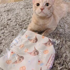 みい様❤️オーダーページ②猫❤️ポメラニアン　トートバッグ　エコバッグ他 3c4d8d49c63f21e26f5d70dd449488