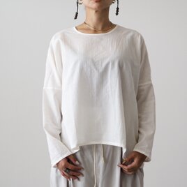 シンプルなシアーシャツの画像