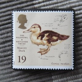イギリス　野鳥保護切手ブローチ10487の画像