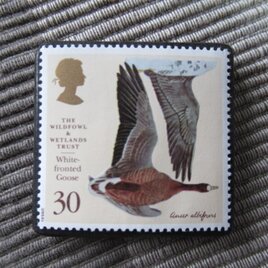 イギリス　野鳥保護切手ブローチ10489の画像