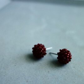 Sucre roux / redの画像