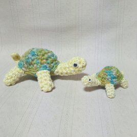 亀の親子の画像
