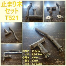 止まり木セット（枝：TOY-08-015、TOY-23-004）T521の画像