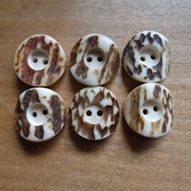 日本の鹿の角ボタン６個セット20㎜Ｍの画像