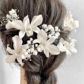 本物のお花　ミニ胡蝶蘭　髪飾り　成人式　卒業式　結婚式　七五三　振袖　袴　浴衣　お着物　OHANAの画像