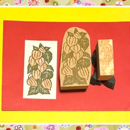〻夏のはんこ〓《色分けできる》【ほおずき】6.5×3.5cmの画像