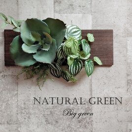 大自然を感じる　大き～い多肉植物で大迫力のインテリア　フェイクグリーン　光触媒加工済