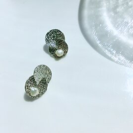 ripple waveの画像