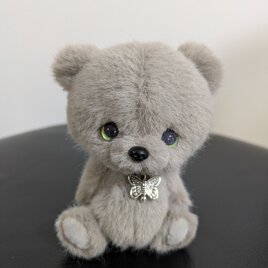 ぬいぐるみ☆くまさん☆グリーンアイの画像