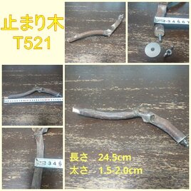 止まり木（枝：TOY-08-015）T521の画像
