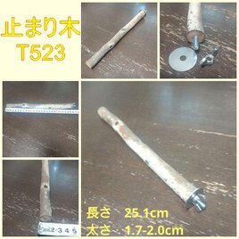 止まり木（枝：TOY-08-015）T523の画像