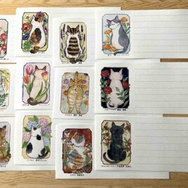 一筆便箋（横書き用）猫と花と花言葉の画像