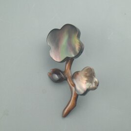 マザーオブパールの花
