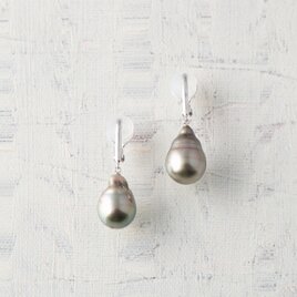 Pince(パンス）南洋パール（薄緑グレー）のシルバーイヤリングの画像