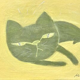 CAT-!?の画像