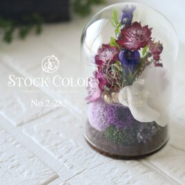 仏花 アストランティアと胡蝶蘭のガラスドームアレンジ(L)＊プリザーブドフラワー お供え花 新盆 初盆 お盆 喪中見舞いの画像