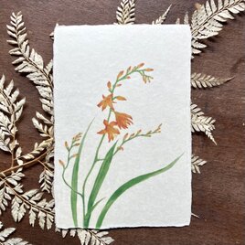 和紙の絵葉書【夏の記憶】の画像