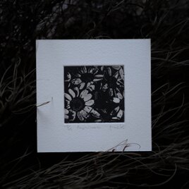 版画ゆうびん no.34 'Matricaria' （銅版画）