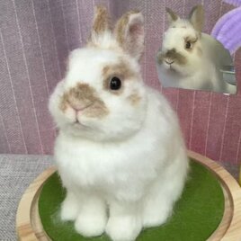 【オーダーメイドペット】 ペット ぬいぐるみ 羊毛 フェルト オーダー ウサギ、うちの子 うさぎ、ペット似顔絵、人形