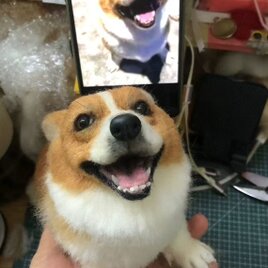 【オーダーメイド ペット】 羊毛 フェルト 犬 オーダー 犬 ぬいぐるみ リアル  コーギー うちの子、ペット似顔絵、猫 人形
