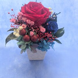 プリザーブドフラワー／大輪の赤い薔薇と青い薔薇の白い花器アレンジ／フラワーケースリボンラッピング付きの画像