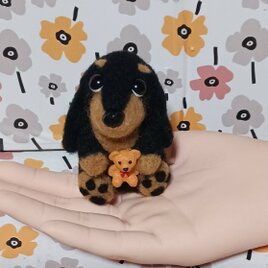 ダックスフンド　クマさん抱えて頭傾げてハイポーズ♥　羊毛の画像