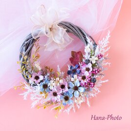 1点のみ＞コスモスとパンパスグラスの優しいカラフル秋リース　リース台：20㎝　(507)の画像