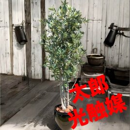 光触媒　人工観葉植物　ウォールグリーン　フェイクグリーン　オリーブtja