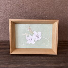 水彩画 | 桜（季節のうつろい）