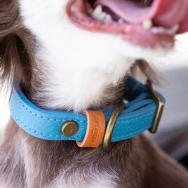 マストロット社　本格派イタリアンレザー　やさしい犬の首輪　（受注生産）　8色　小型犬　中型犬　ペット　dc-01ss