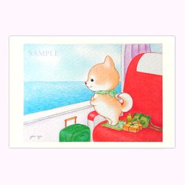 ポストカード 柴犬ちゃん「初めての海」２枚入