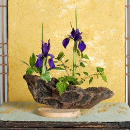 お気に入りの季節の花を飾って気持ちの良い空間を作ってみませんか？　流木の花器、木の花瓶、花器、小さな花瓶、９０