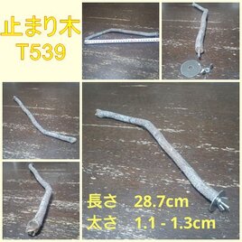 止まり木（枝：TOY-08-015）T539