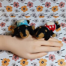 羊毛フェルト ダックスフントドお揃い服着てハイポーズ