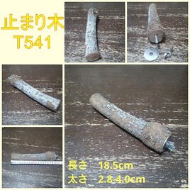 止まり木（枝：TOY-08-015）T541