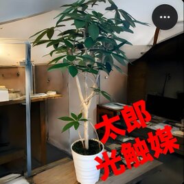 光触媒 人工観葉植物 ウォールグリーン フェイクグリーン 壁掛け
