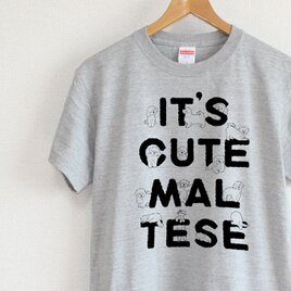マルチーズがいっぱい　メンズタイプ（gray）