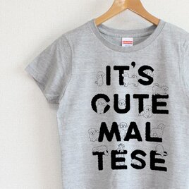 マルチーズがいっぱい　レディースタイプ（gray）