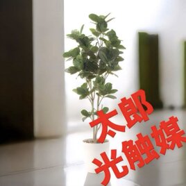 光触媒 人工観葉植物 ウォールグリーン フェイクグリーン 壁掛け