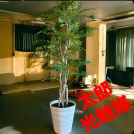 光触媒 人工観葉植物 ウォールグリーン フェイクグリーン