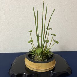 ワイルドストロベリー | iichi 日々の暮らしを心地よくする